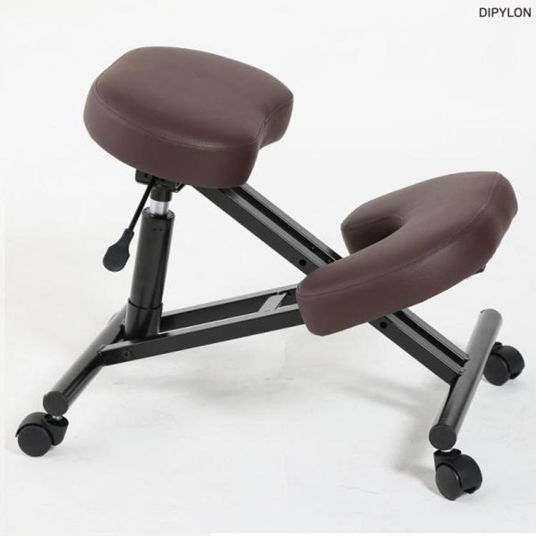 DIPYLON 척추 자세교정 컴퓨터 책상 무릎의자